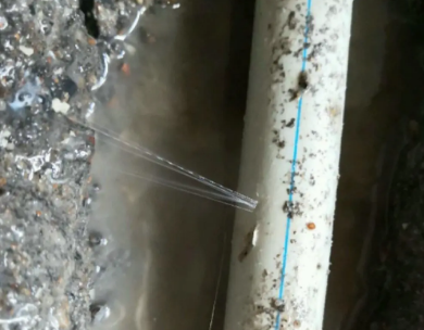 台前测漏水哪家好