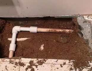 台前测漏水哪家好