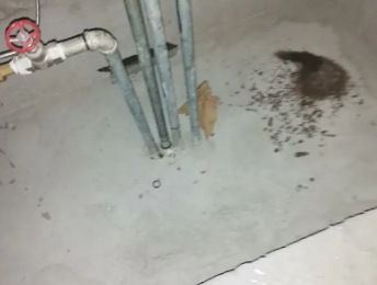 台前卫生间测漏水价格明细