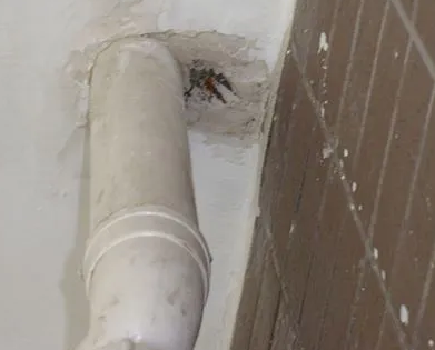 台前漏水检测哪家好